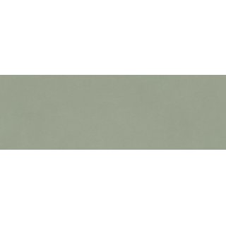 GRAVITY SAGE MATE 40x120 XS RC